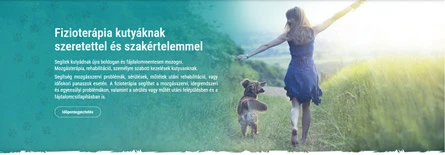Honlapkészítés