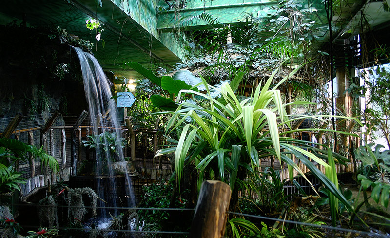 Tropicarium Campona kpek