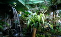 Tropicarium Campona kpek